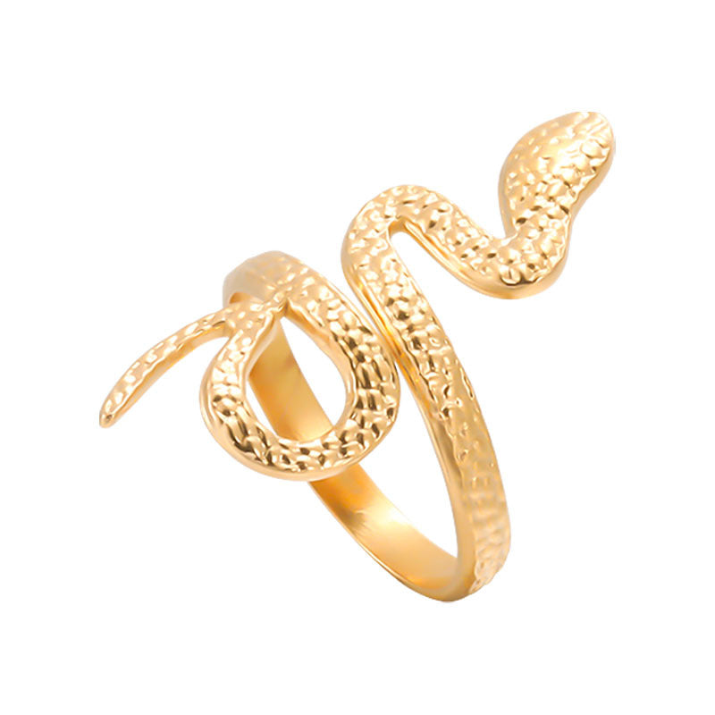 Adjustable Stainless Steel Snake Ring in Titanium